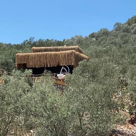 بيت للعطل Lovin Gocek & Tiny House Mermaid فتحية
